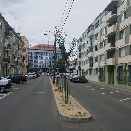 Central White Apartment 萨图马雷 外观 照片