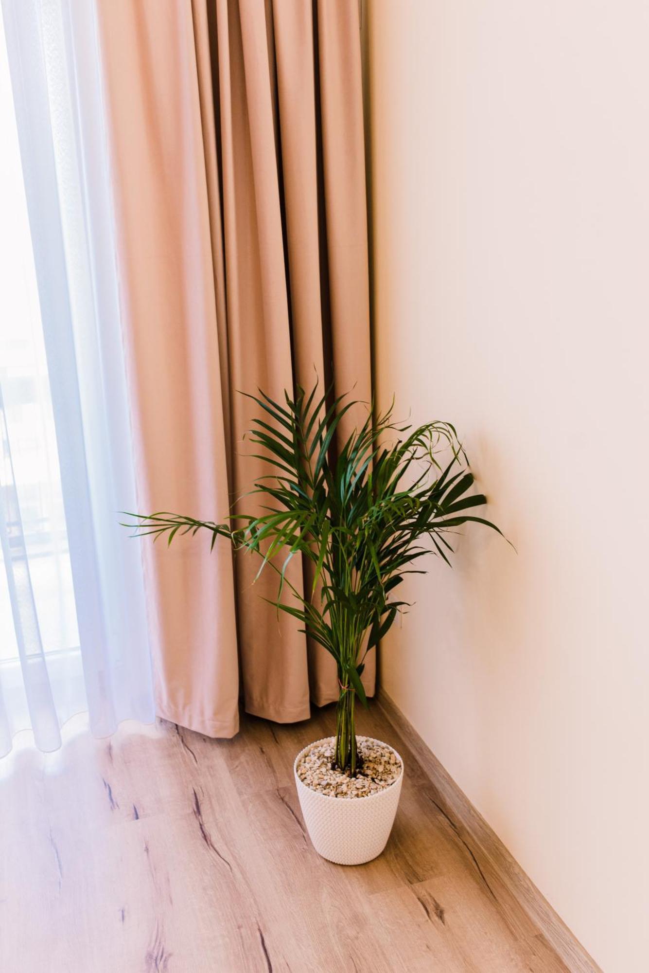 Central White Apartment 萨图马雷 外观 照片