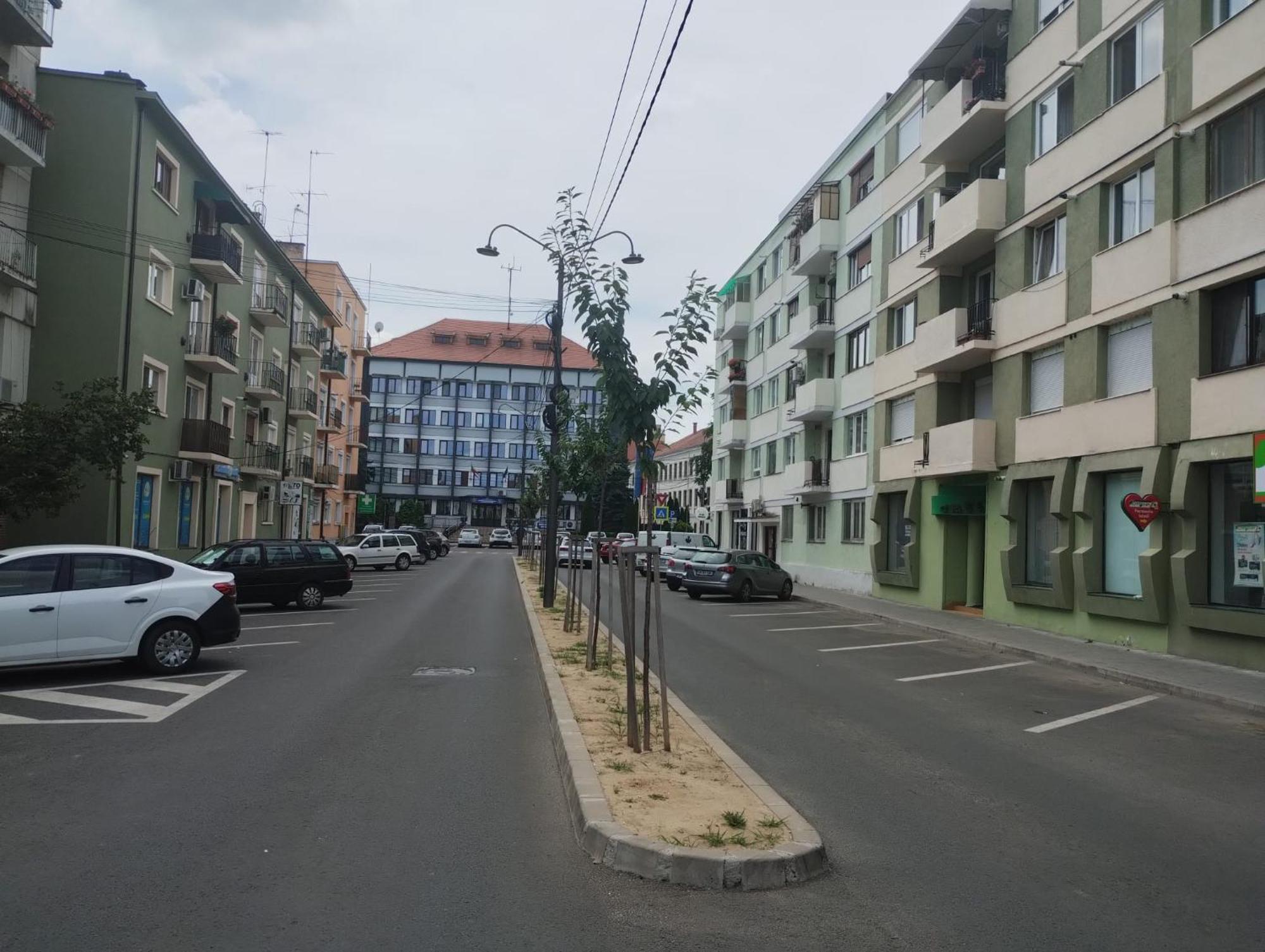 Central White Apartment 萨图马雷 外观 照片